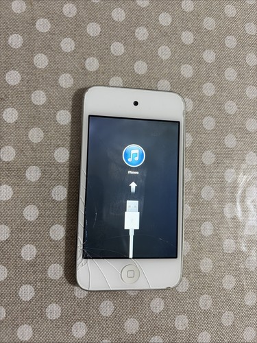Apple ipod touch 4th - apple,